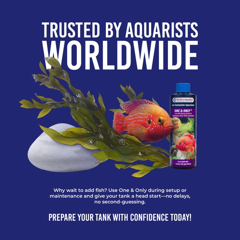 DrTim's Aquatics DrTimâ€™s Aquatics One & Only for Freshwater Aquariums â€“ 8 oz â€“ Live Nitrifying Solution â€“ Jumpstarts Cycling, Supports Biological Balance & Long-Term Water Stability - Image 5